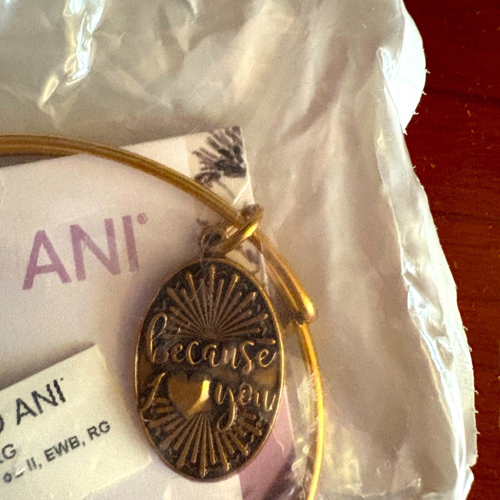 Alex and Ani “because I love you” charm bracket